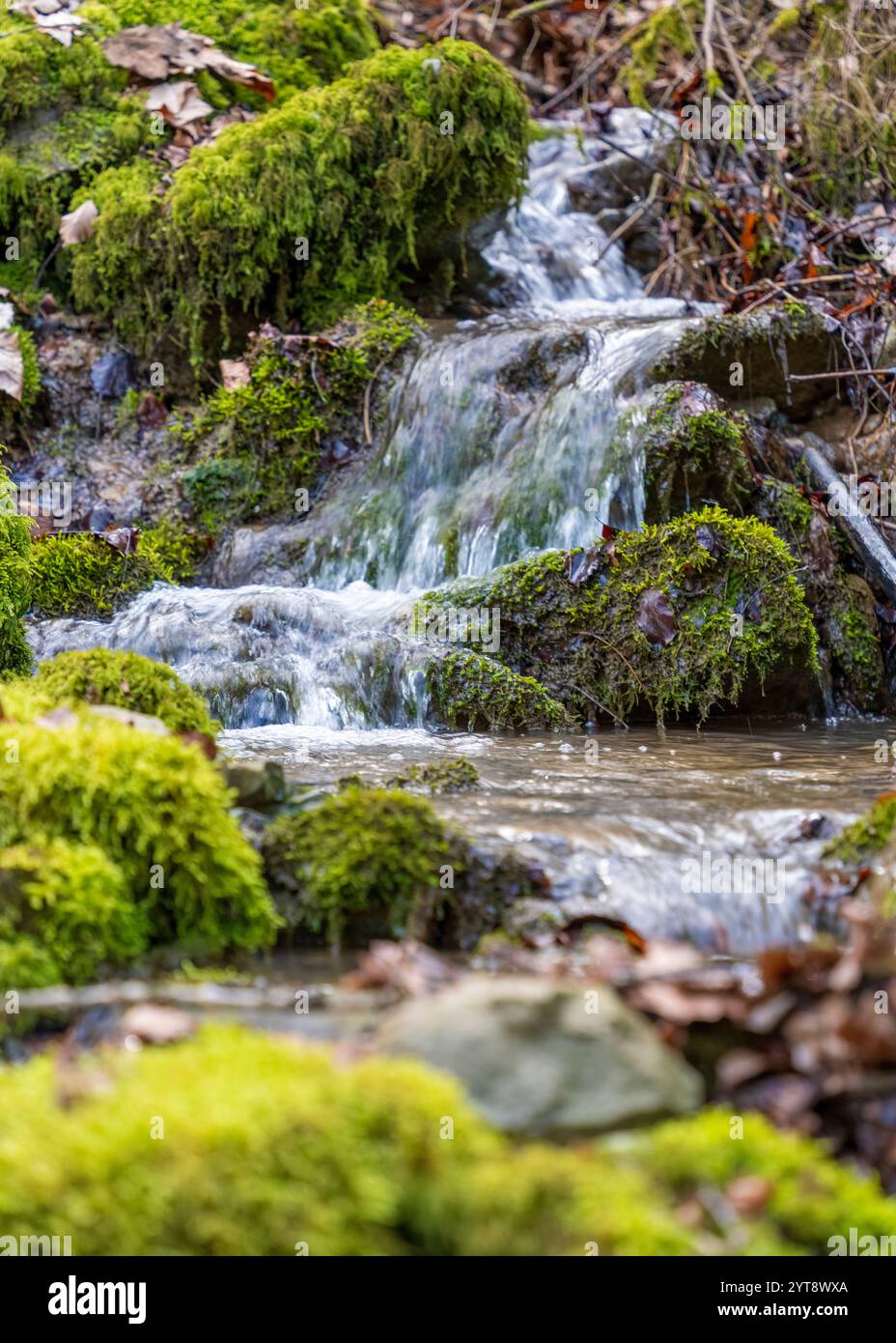 Rivulet hi-res stock photography and images - Alamy