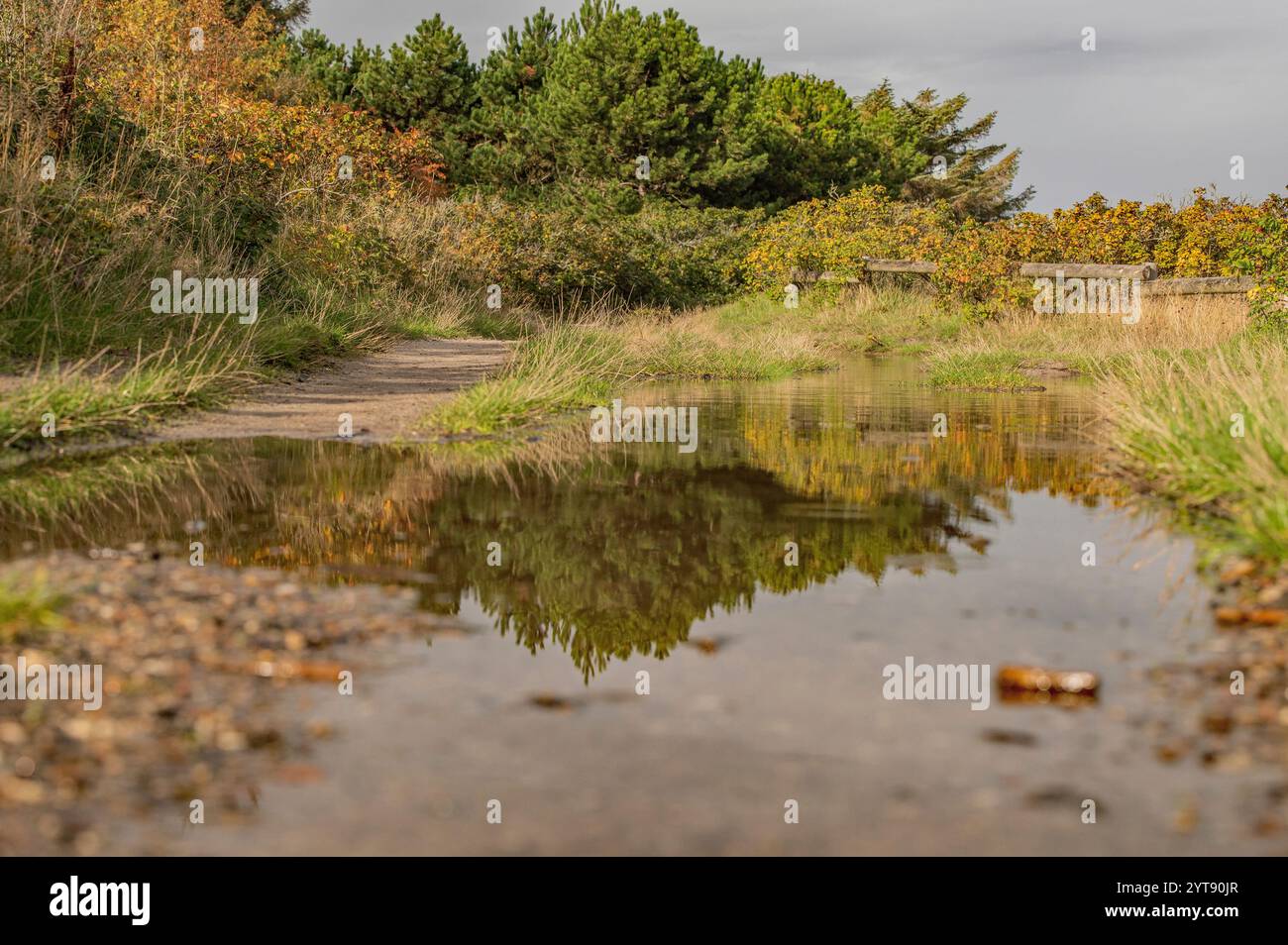 Hiking trail in the fall Stock Photo - Alamy