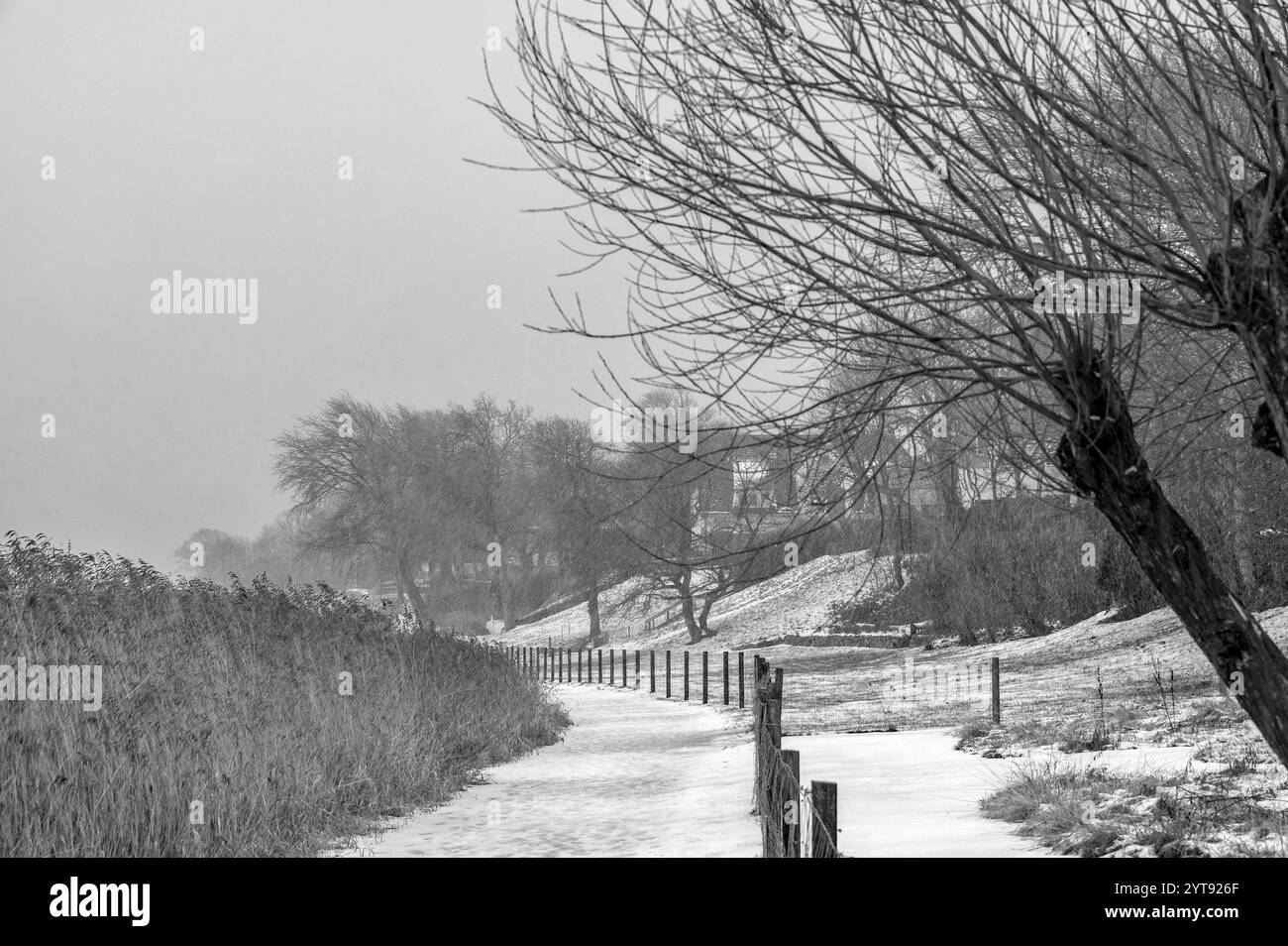 Reed trail Black and White Stock Photos & Images - Alamy