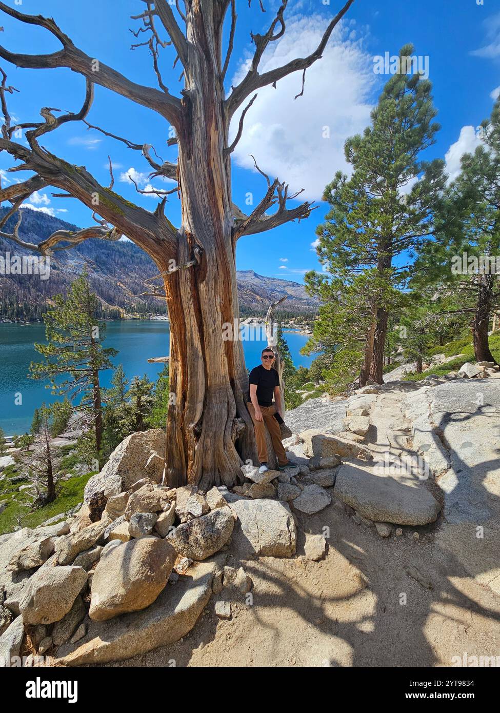 A man stands beside a weathered tree on a rocky slope overlooking a tranquil lake, surrounded by forested mountains under a bright blue sky. Stock Photo
