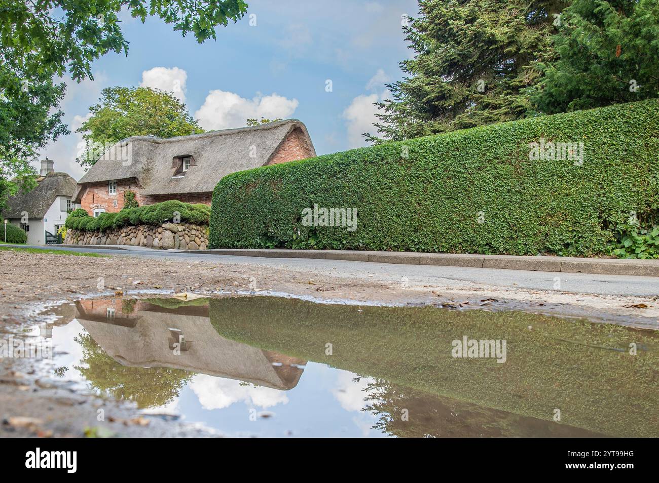 Reflection in the rain puddle Stock Photo - Alamy