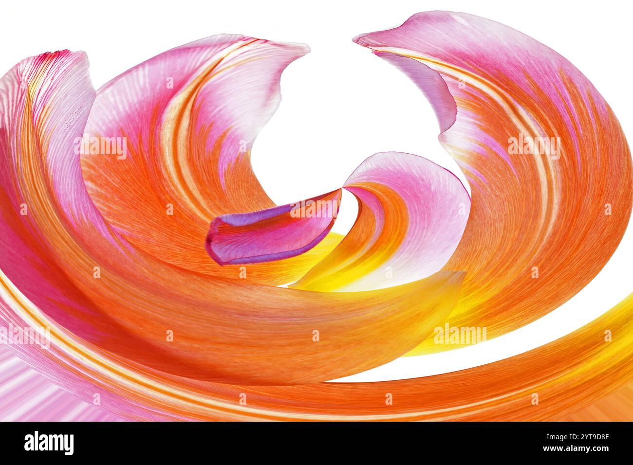Flower colors hi-res stock photography and images - Alamy