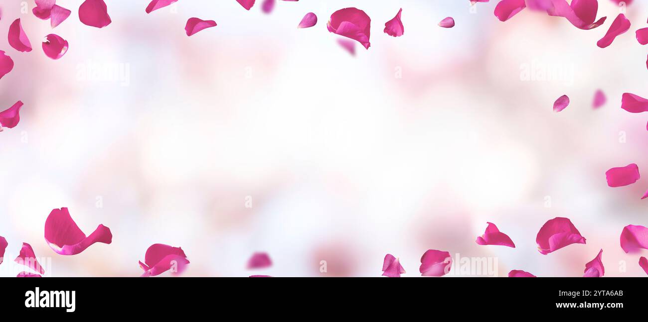 Background with floating rose petals Stock Photo - Alamy