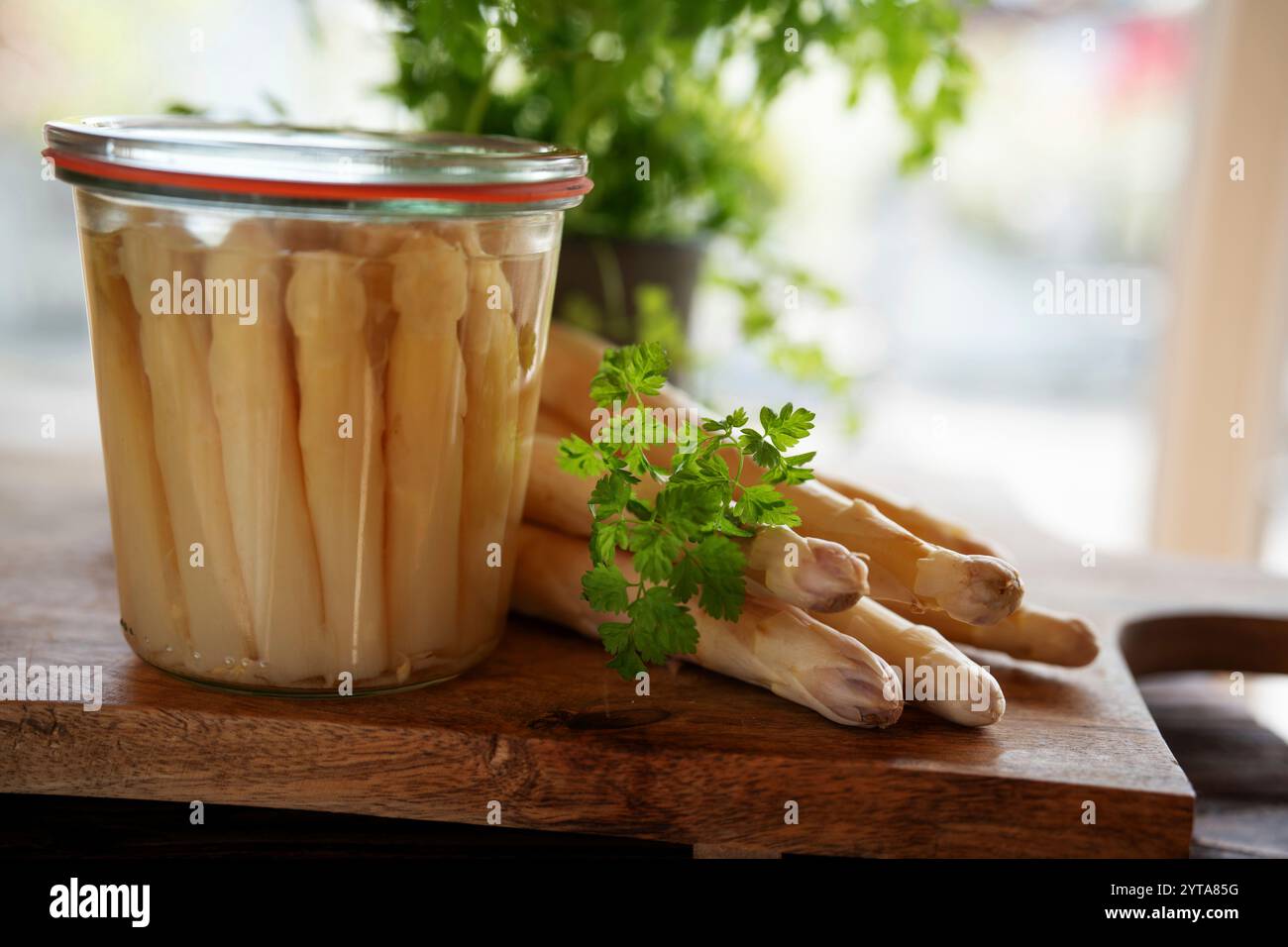 Fresh saisonal ingredients for preserved white asparagus in mason jar. Background for healthy eating concept with space for text. Stock Photo