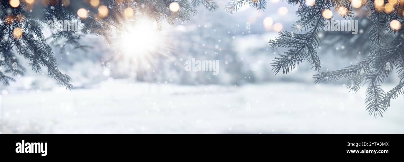 Fir branches covered snow hi-res stock photography and images - Alamy