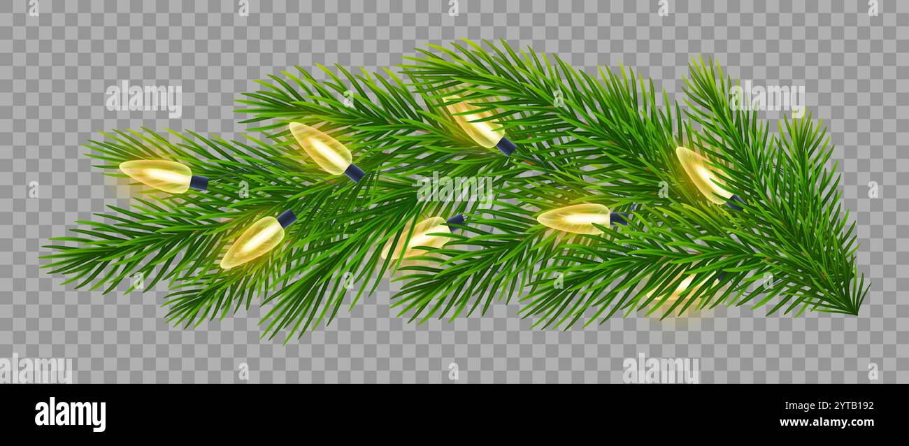 Twinkling Christmas lights on vibrant fir branches on transparent ...