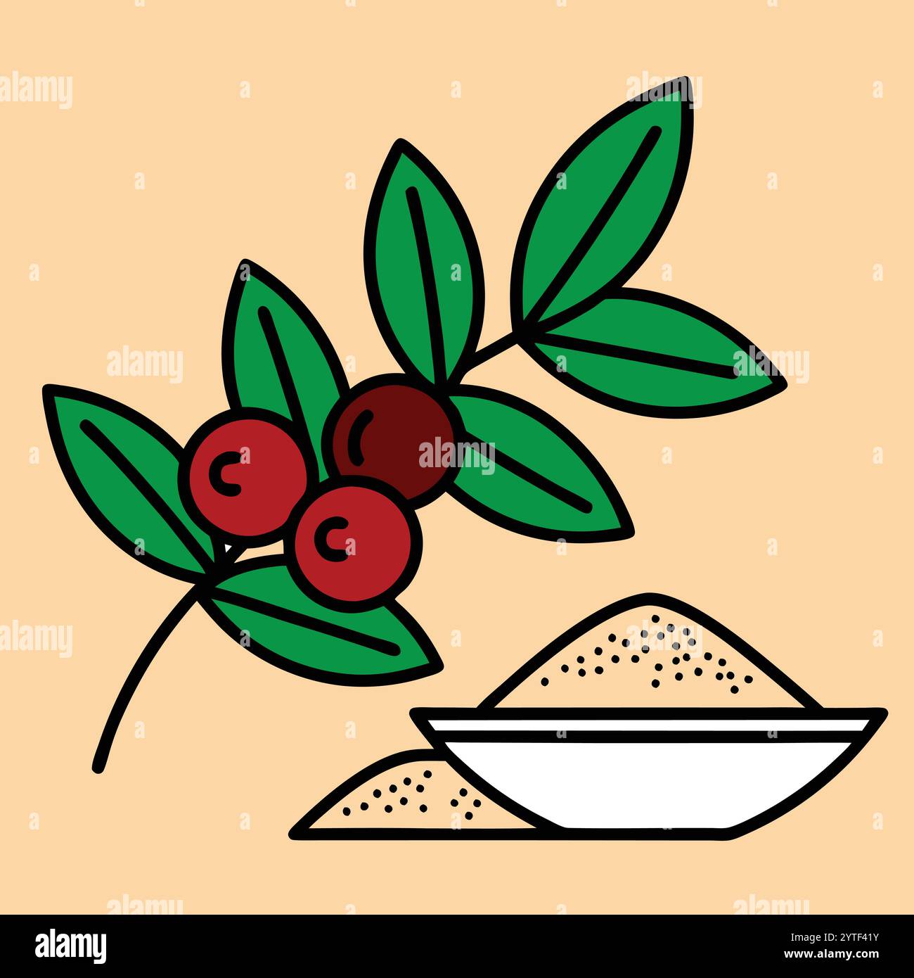 Allspice Whole Berries and Ground Spice in a Small Dish Vector Illustration Stock Vector