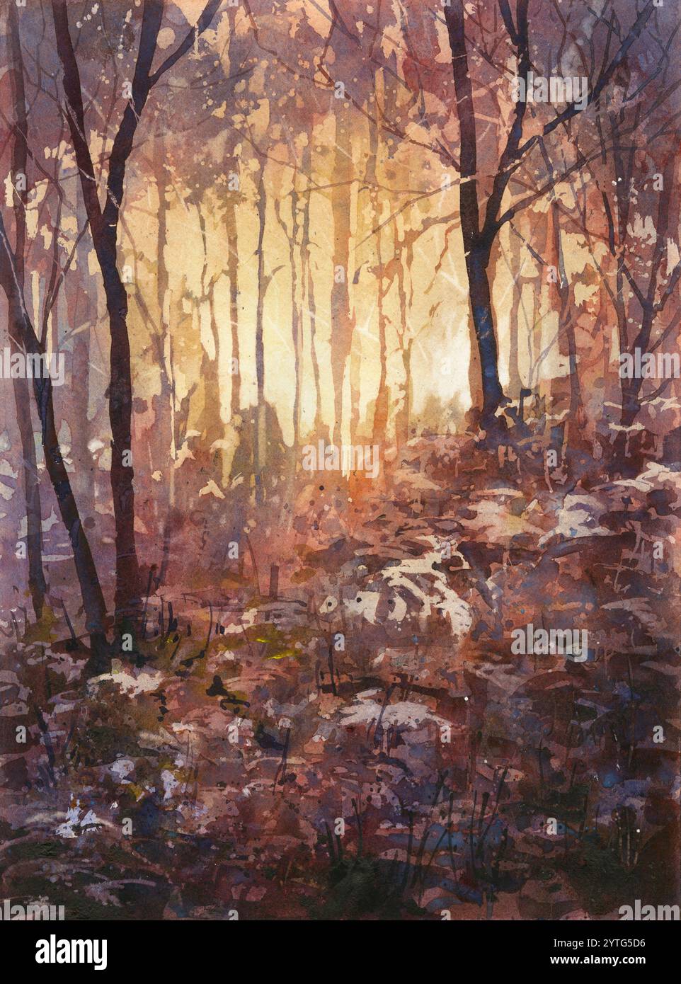Sun rays in forest watercolor hi-res stock photography and images - Alamy