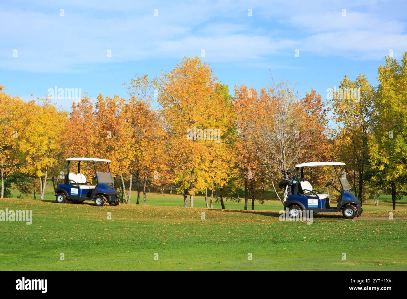 Two golf carts are parked in a grassy field. The carts are blue and white. The field is full of trees and the sky is clear Stock Photo