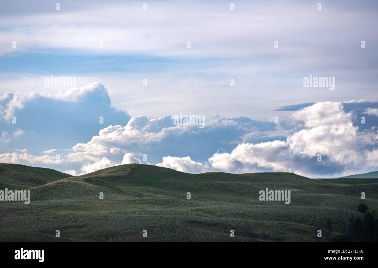 Storm Clouds Build Over The Rolling Hills Of Hayden Valley in ...