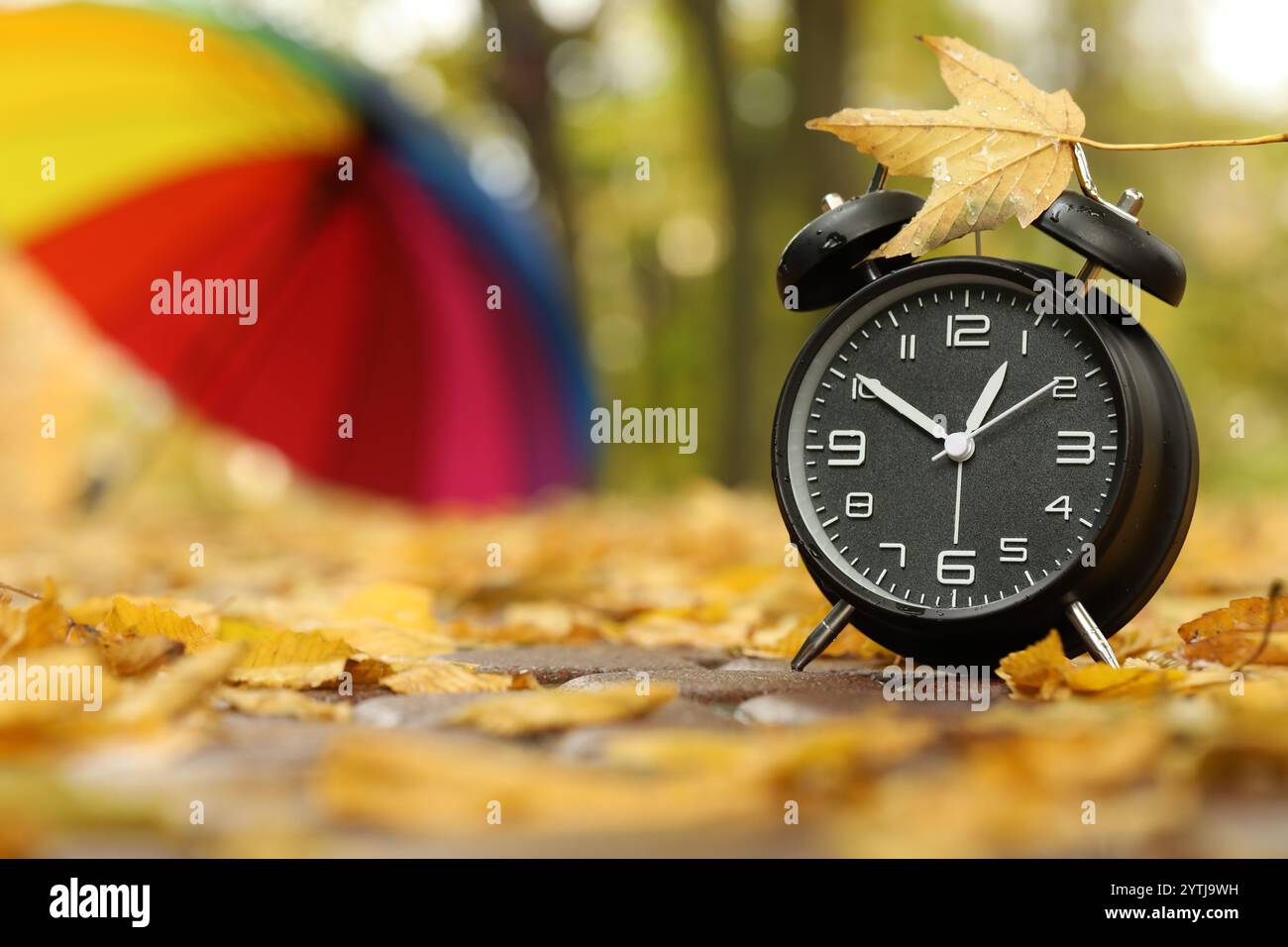 Autumn time. Alarm clock and umbrella in park, selective focus. Space for text Stock Photo