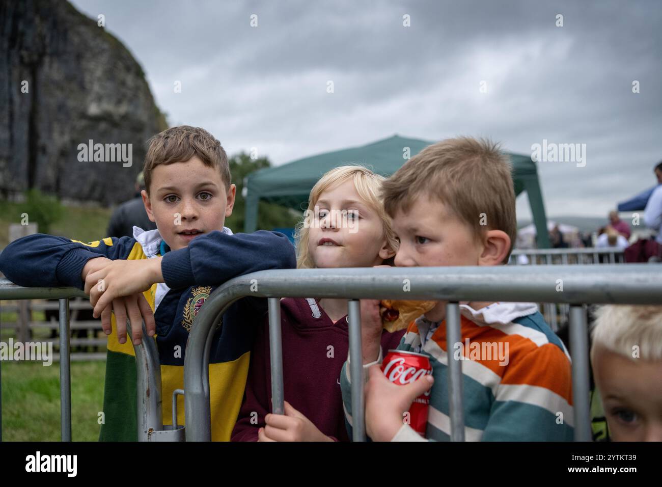 Sheep being shown at the 2024 Kilnsey Show under the shadow of Kilnsey Crag, in the heart of the Yorkshire Dales. North Yorkshire, UK. Stock Photo