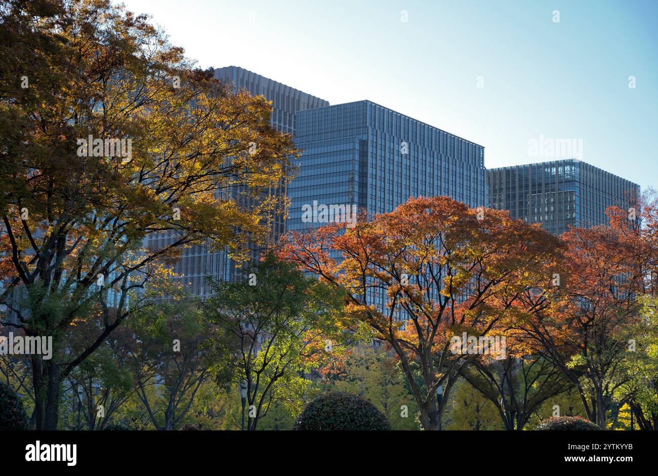 Streets of Tokyo city, in day time, Japan. Streets and roads in central ...