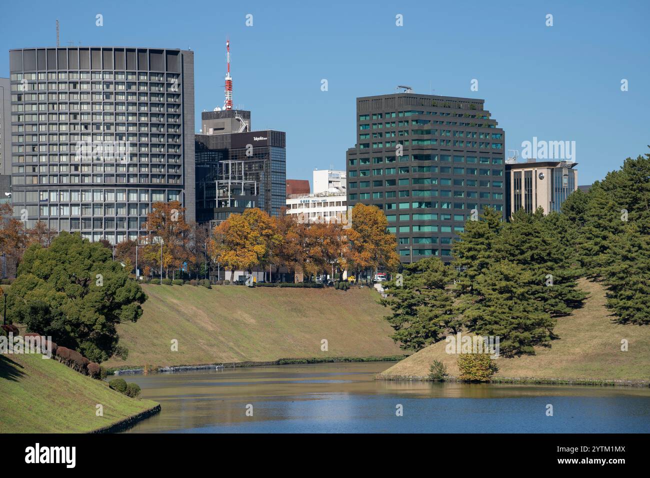 Streets of Tokyo city, in day time, Japan. Streets and roads in central ...