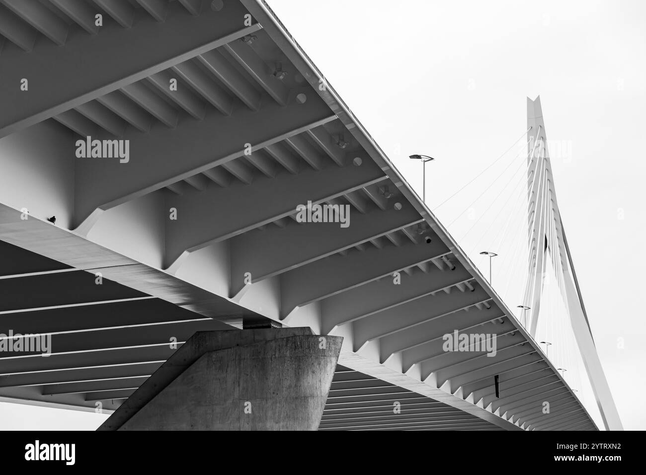 Rotterdam cruise ship Black and White Stock Photos & Images - Alamy