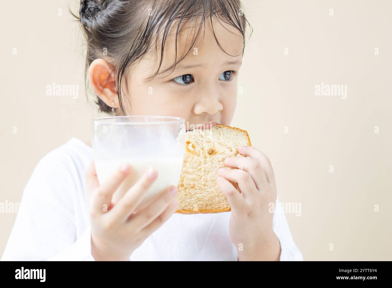 An Asian preschool girl wearing a white long-sleeved T-shirt holding a glass of milk and eating a slice of bread stands on a cream background. Stock Photo