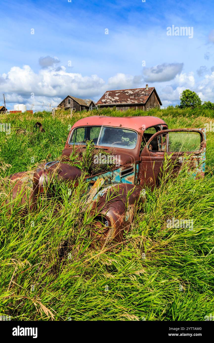 An old, rusted car is sitting in a field of tall grass. The car is ...