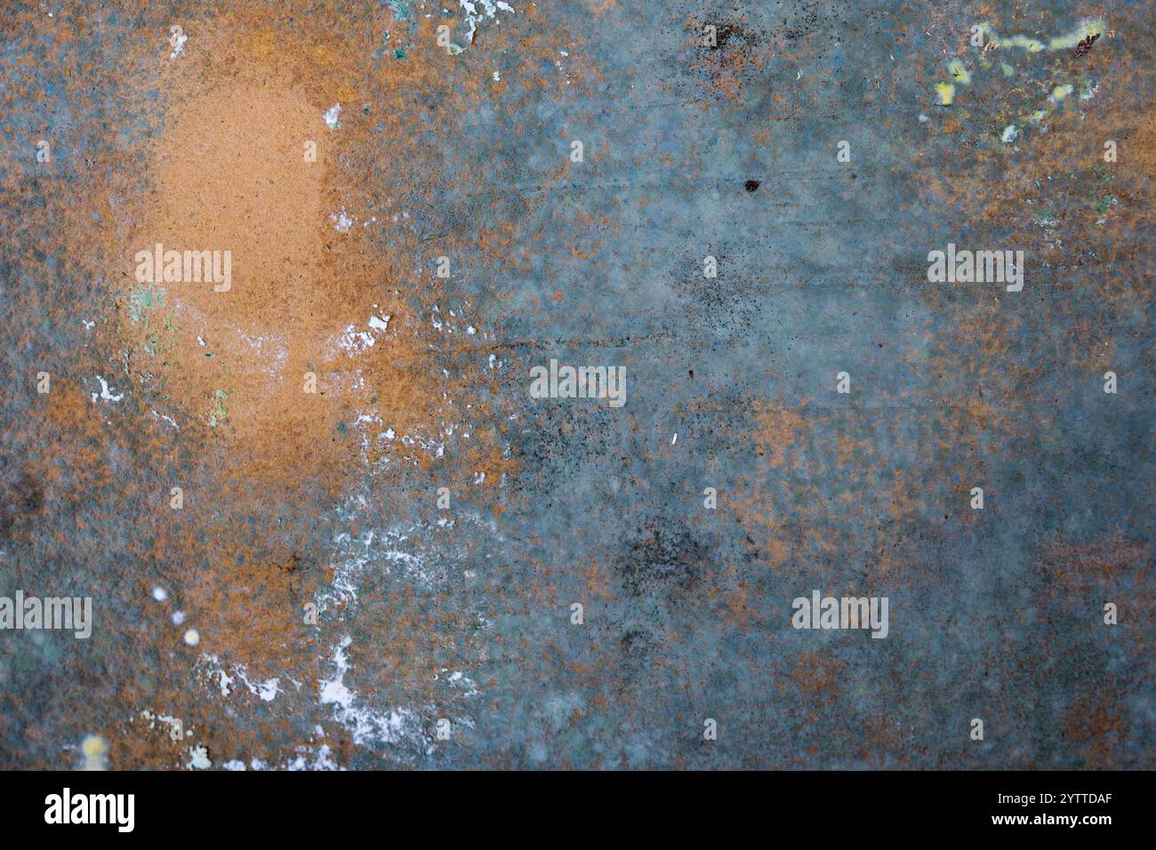 gray and white mold on a wall Stock Photo