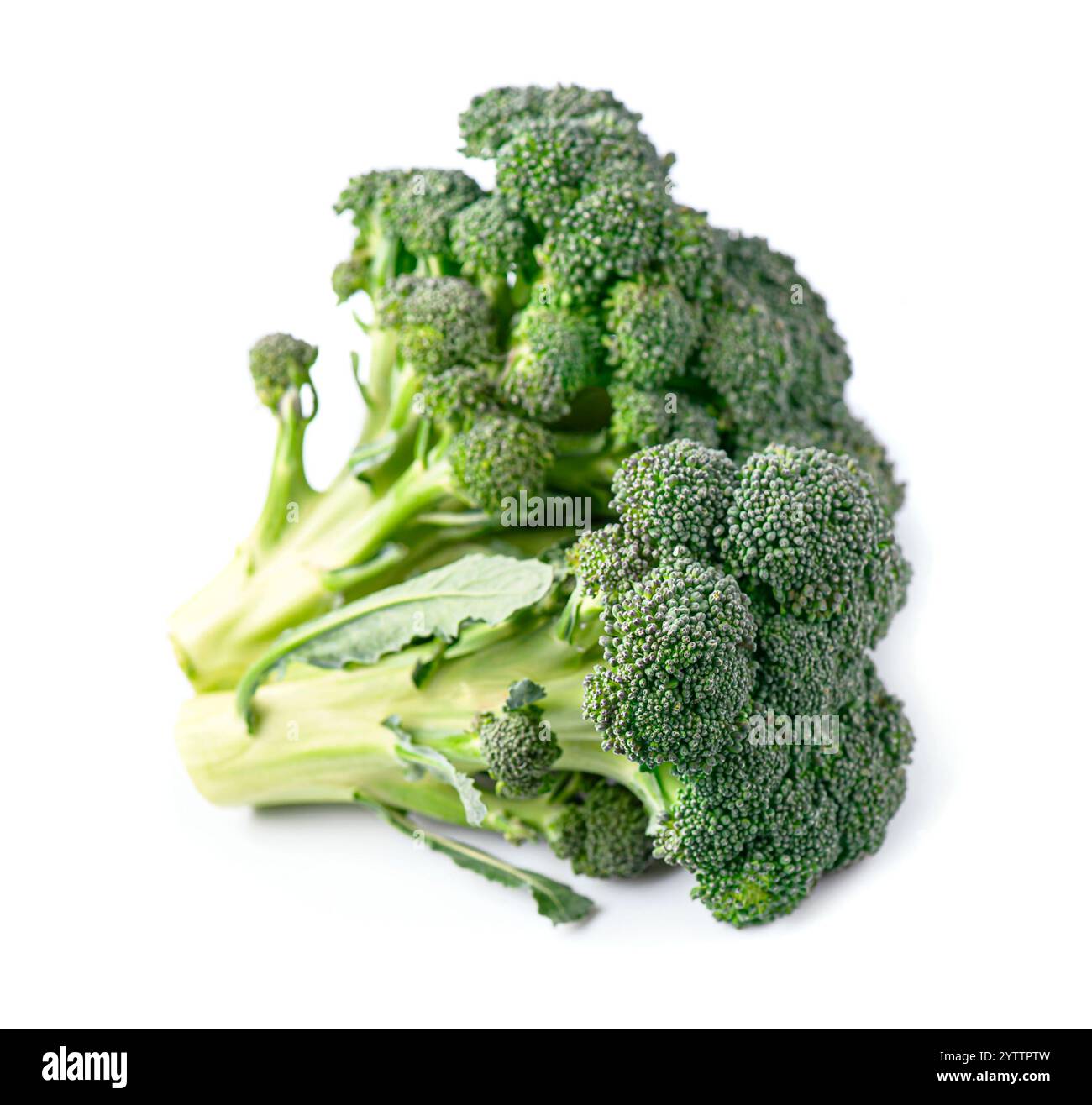 Raw broccoli on white backgrounds. Healthy food ingredient Stock Photo ...
