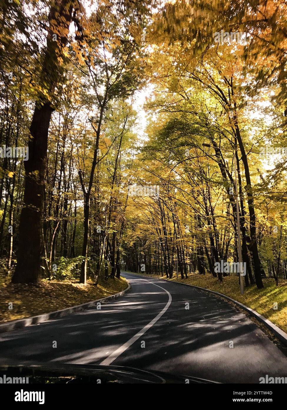 Winding road through the woods in the fall hi-res stock