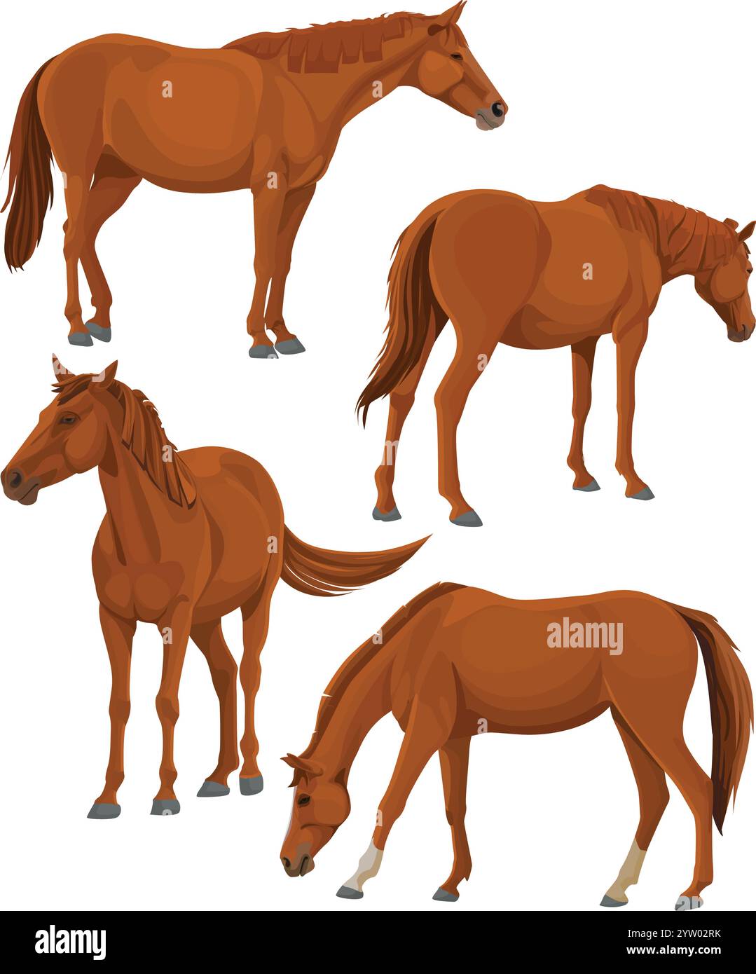 horse illustration with different poses Stock Vector Image & Art - Alamy