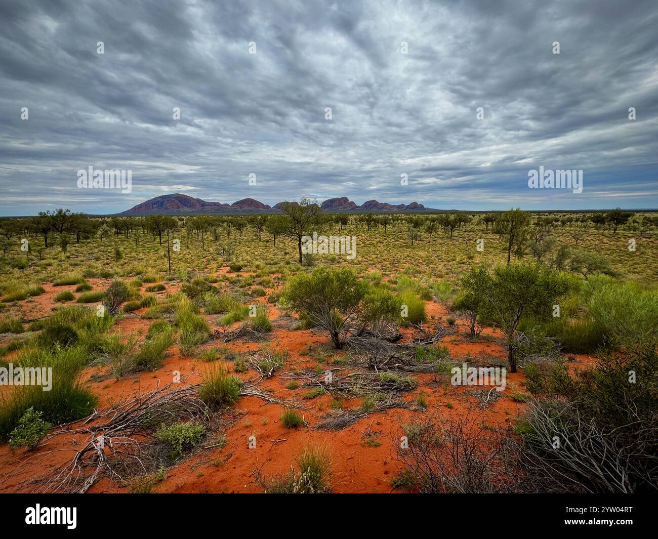 Desolate Australian Landscape Landscape photograph captures dramatic hi-res stock photography and ...