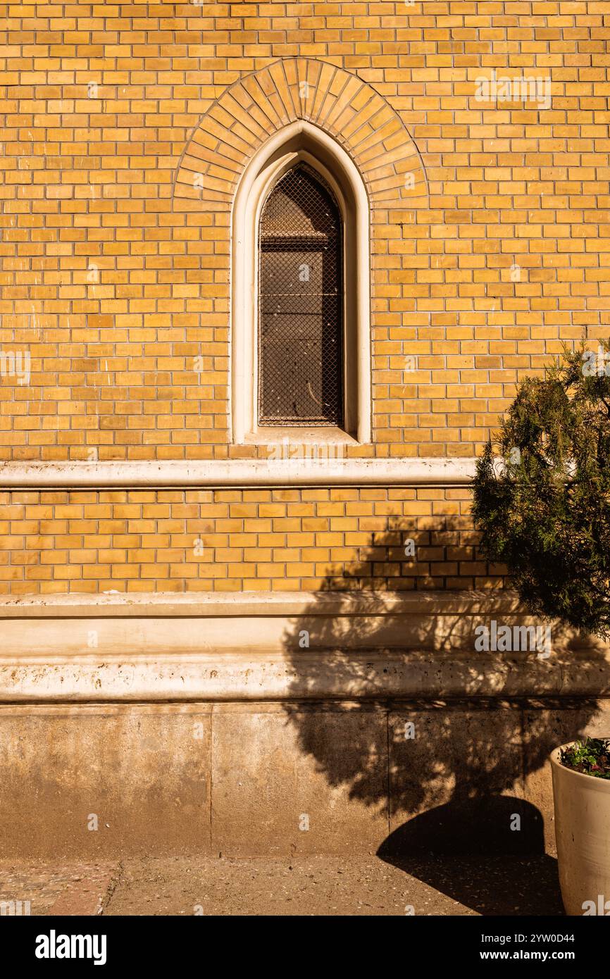 Small tree in a pot casting shadow on yellow brick wall, vertical image Stock Photo