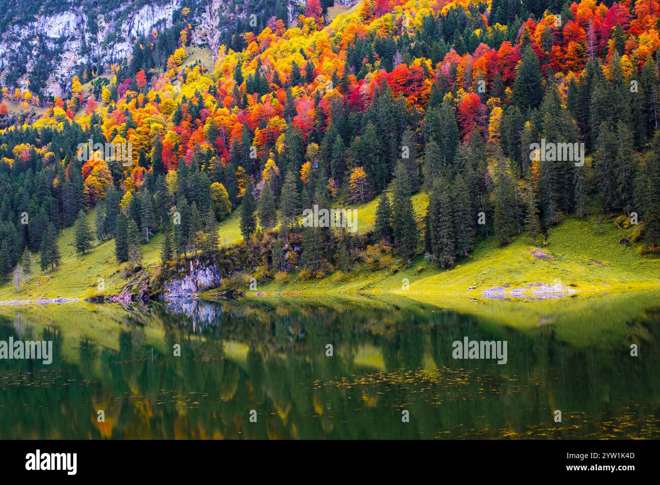 In the heart of Appenzell, Falensee showcases stunning autumn foliage, with vibrant reds and yellows mirrored in crystal-clear waters, surrounded by m Stock Photo