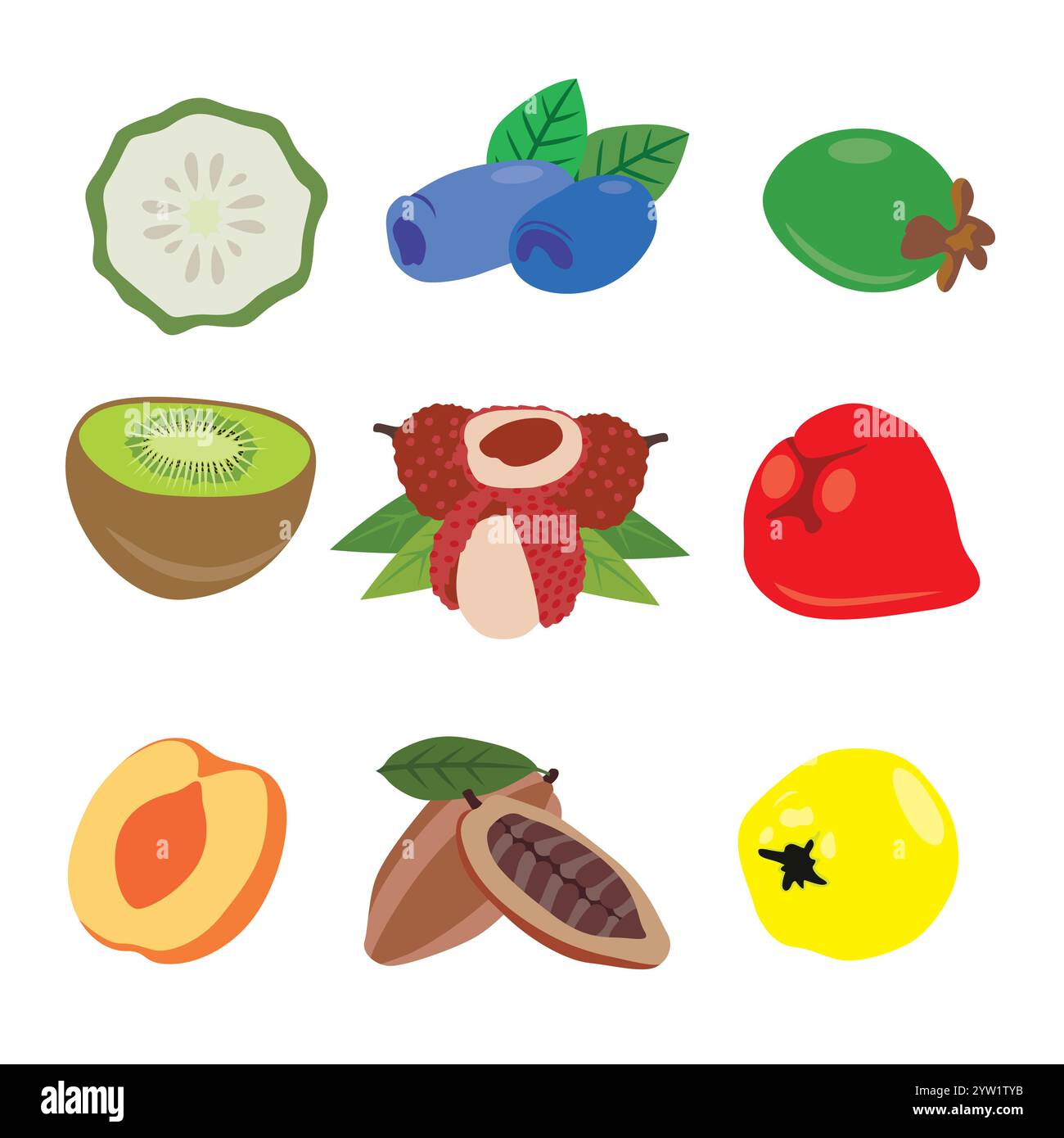 A Diverse Selection of Delicious Fresh Fruits Stock Vector