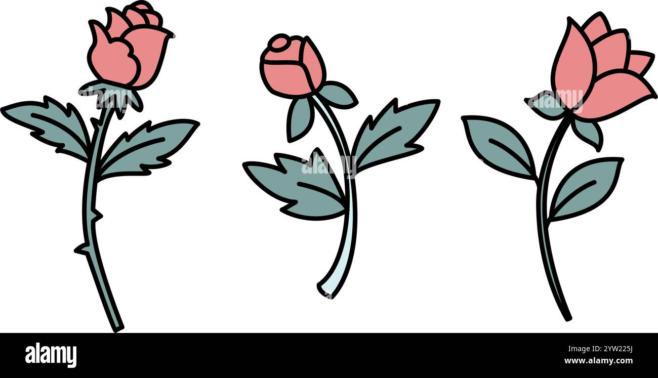 Beautiful three pink roses isolated Stock Vector Images - Alamy