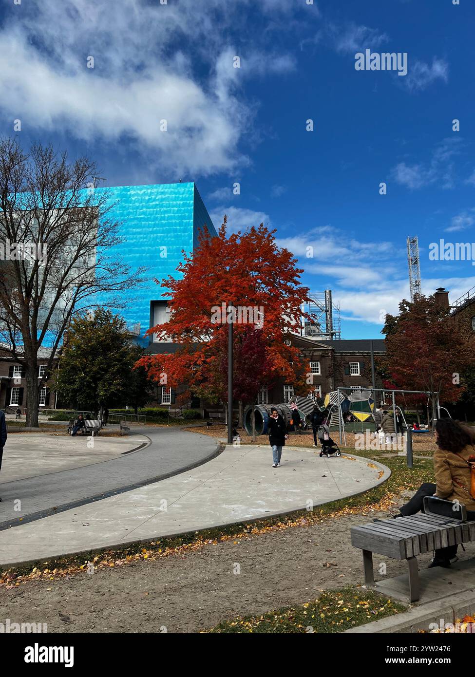 Toronto's Fall - Smartphone Captured Stock Image