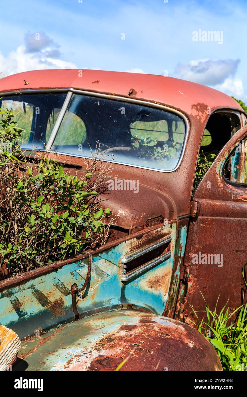 A rusted old car is sitting in a field with weeds growing around it ...