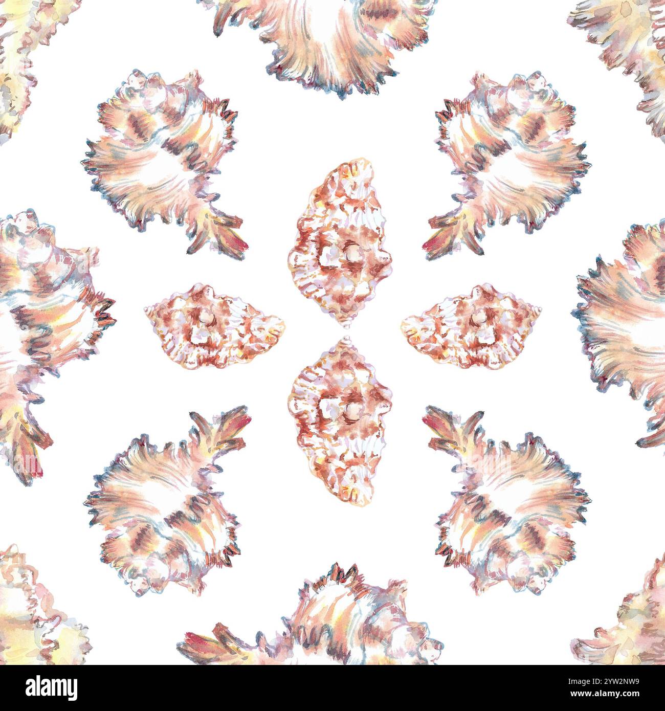 Shell pattern underwater world in watercolor. Murex Endivia, Conch ...