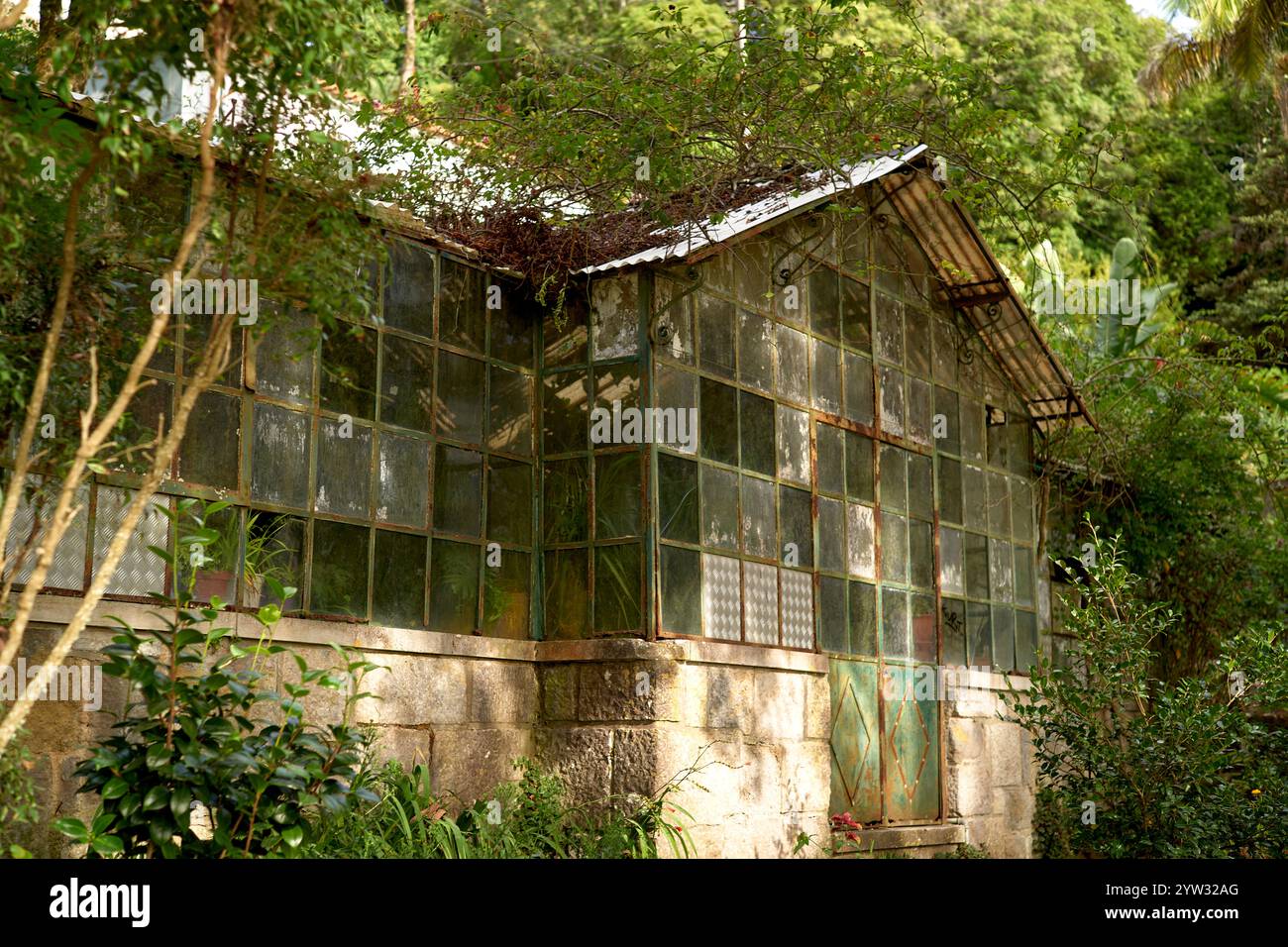 Abandoned greenhouse abandoned hi-res stock photography and images - Alamy