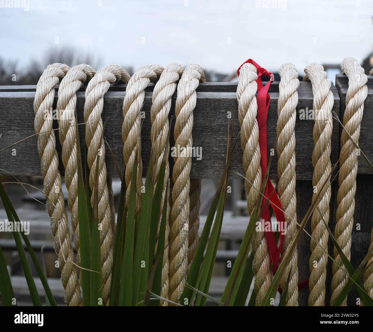 Synthetic manila decking rope hi-res stock photography and images - Alamy