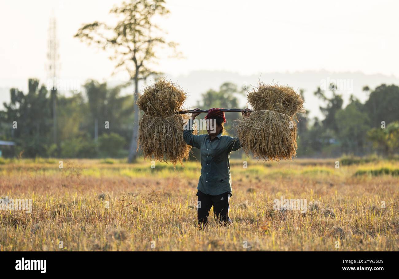 Monsoon india farm hi-res stock photography and images - Alamy