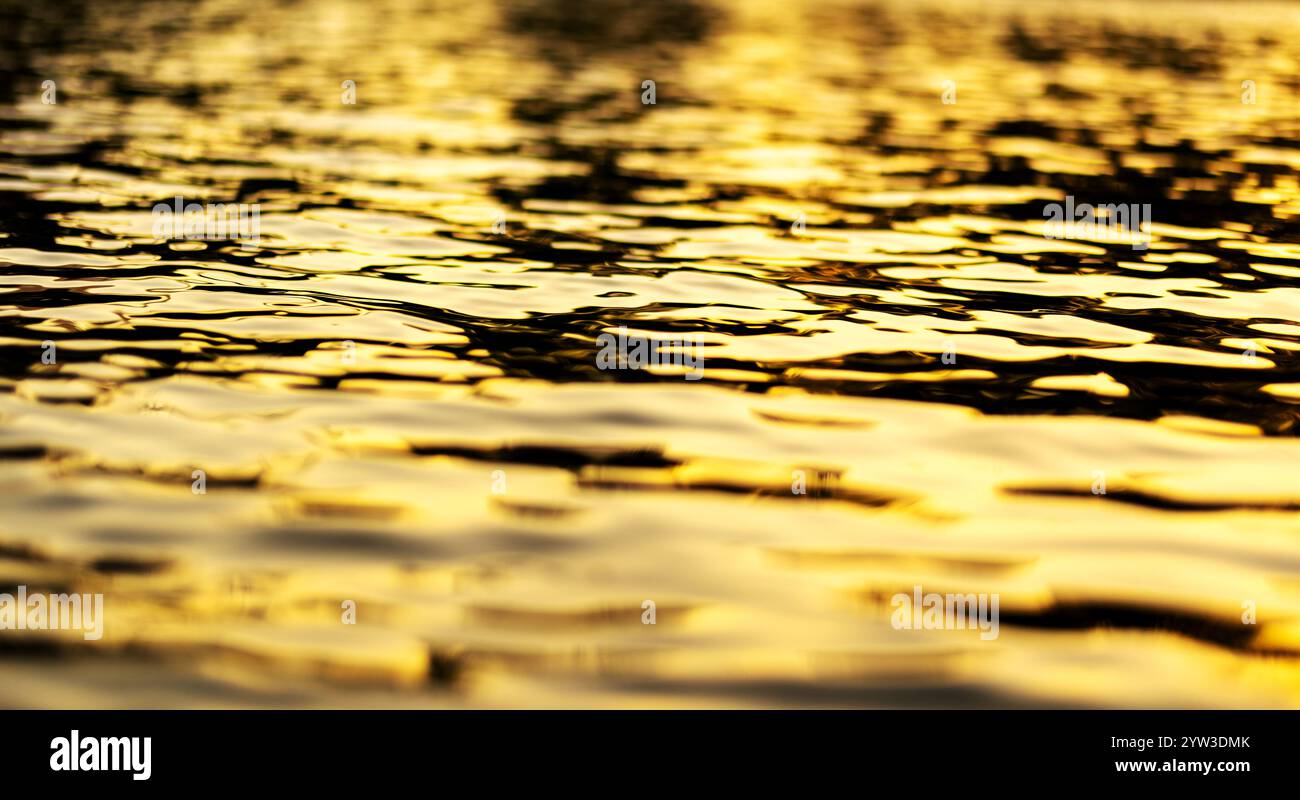 Golden sunset reflections on a tranquil rippling water surface Stock ...