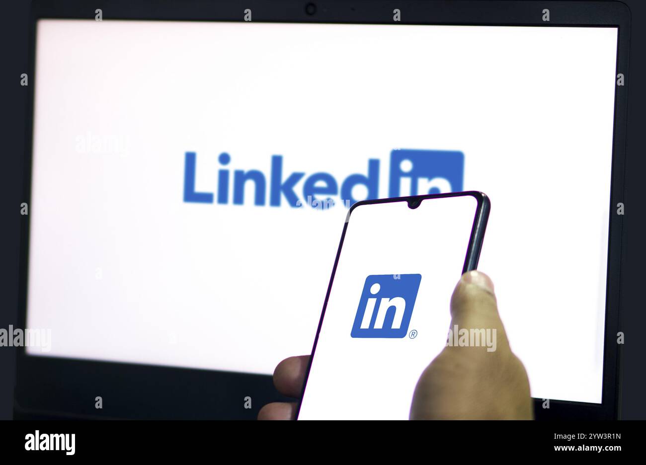 LinkedIn is the world's largest professional network on the Internet ...