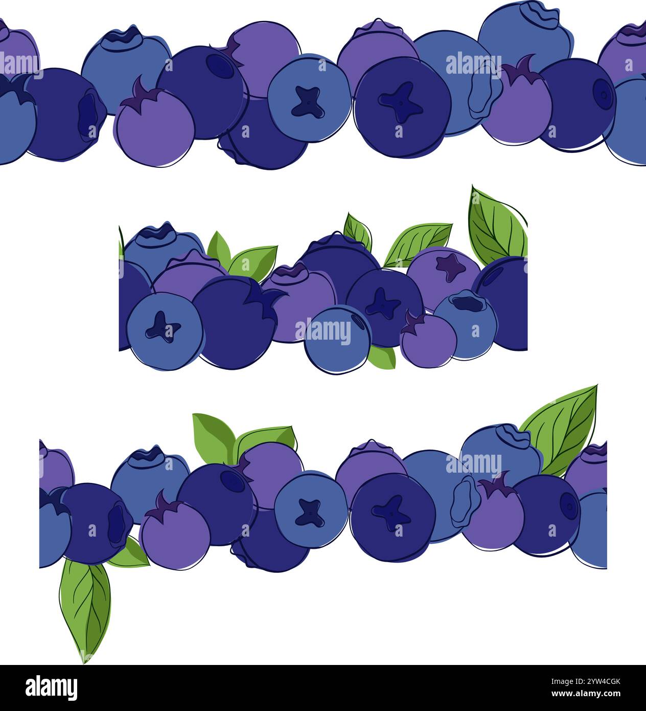 graphic line illustration blueberry seamless border set. vector design ...