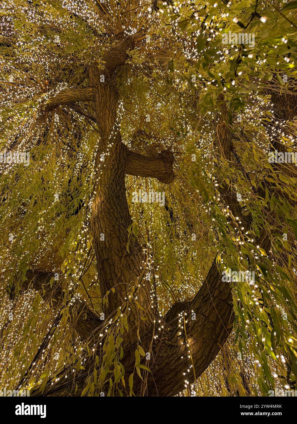 Christmas in Tivoli Gardens Copenhagen - Smartphone Captured Stock Image