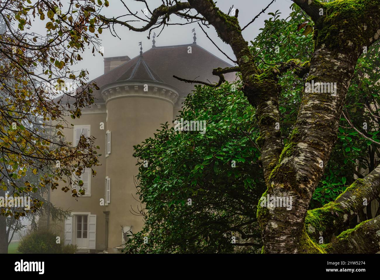 In the morning fog you can see the mass of the castle residence of Bagneux, a romantic image. Bagneux, Chevrières, France, Europe Stock Photo