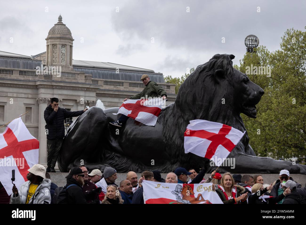 St George's Day celebrations at Trafalgar Square on April 23rd 2024, to commemorate the anniversary of the patrons saints death in 303 AD. Stock Photo