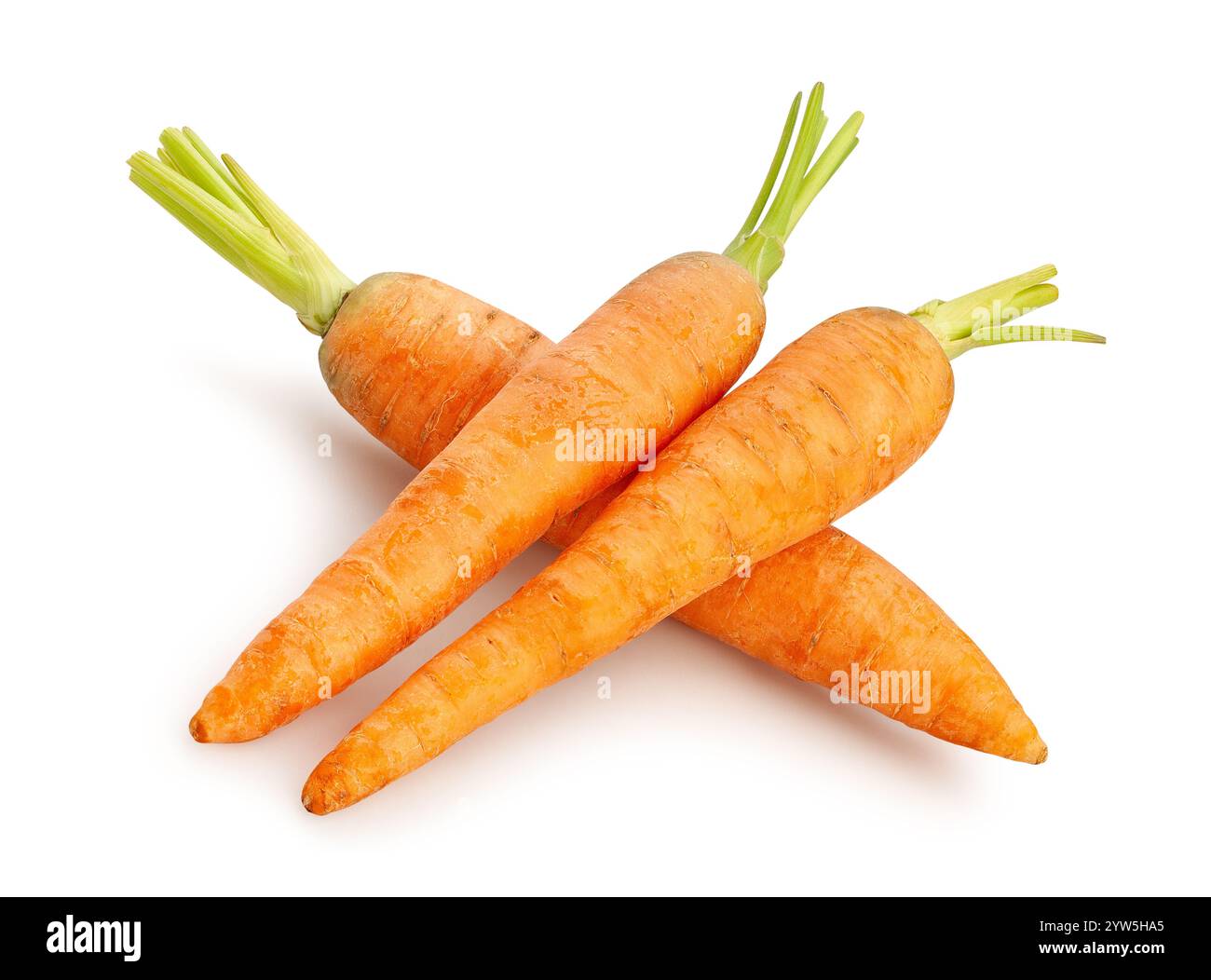 carrots path isolated on white Stock Photo