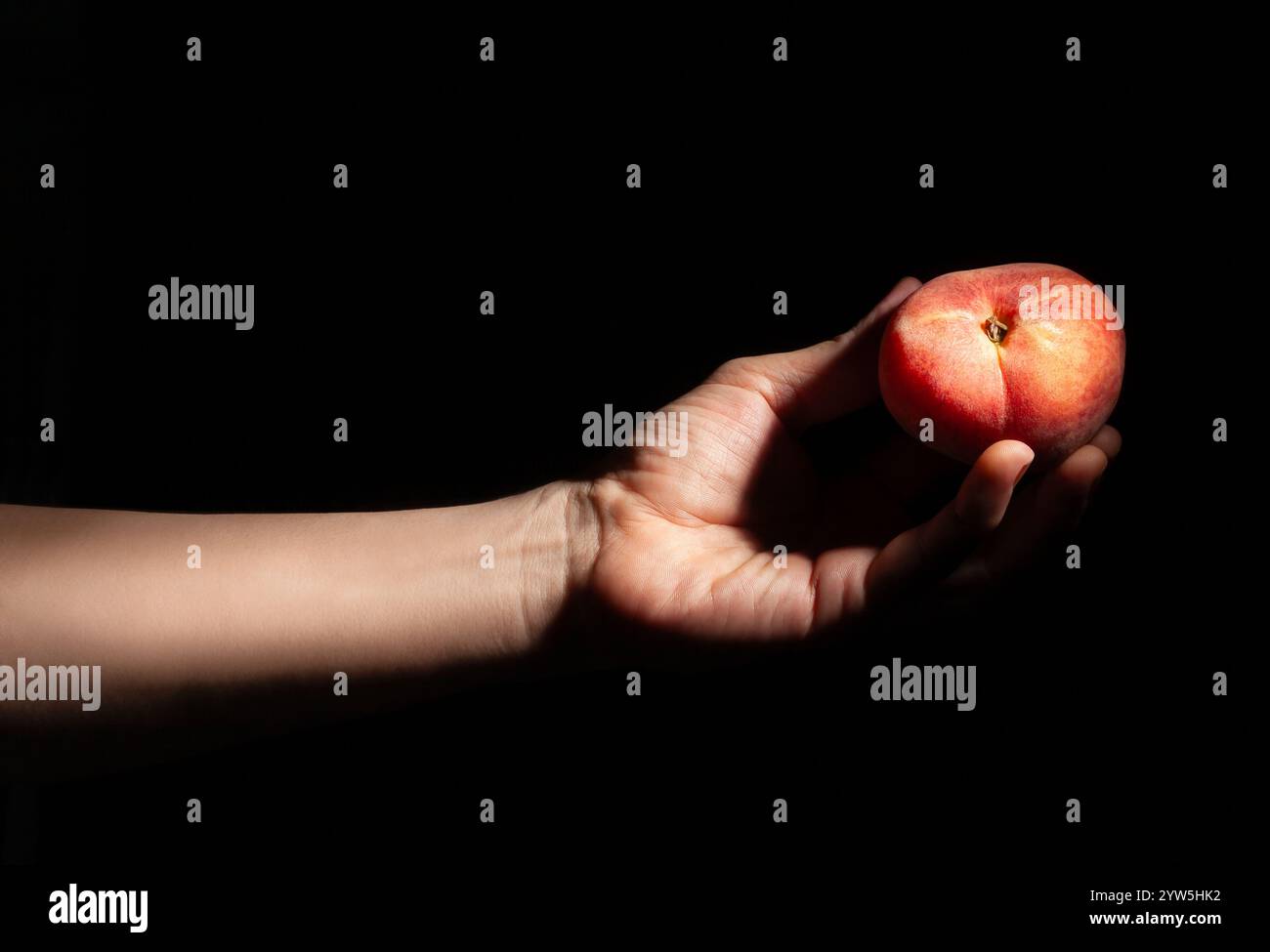 flat saturn peach in hand on black background Stock Photo