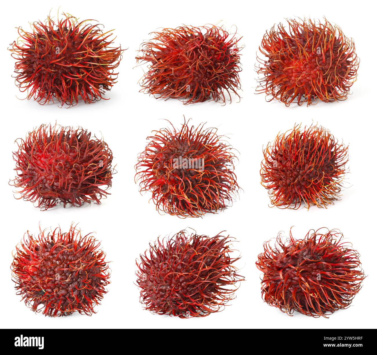 Fresh unpeeled rambutan fruits hi-res stock photography and images - Alamy