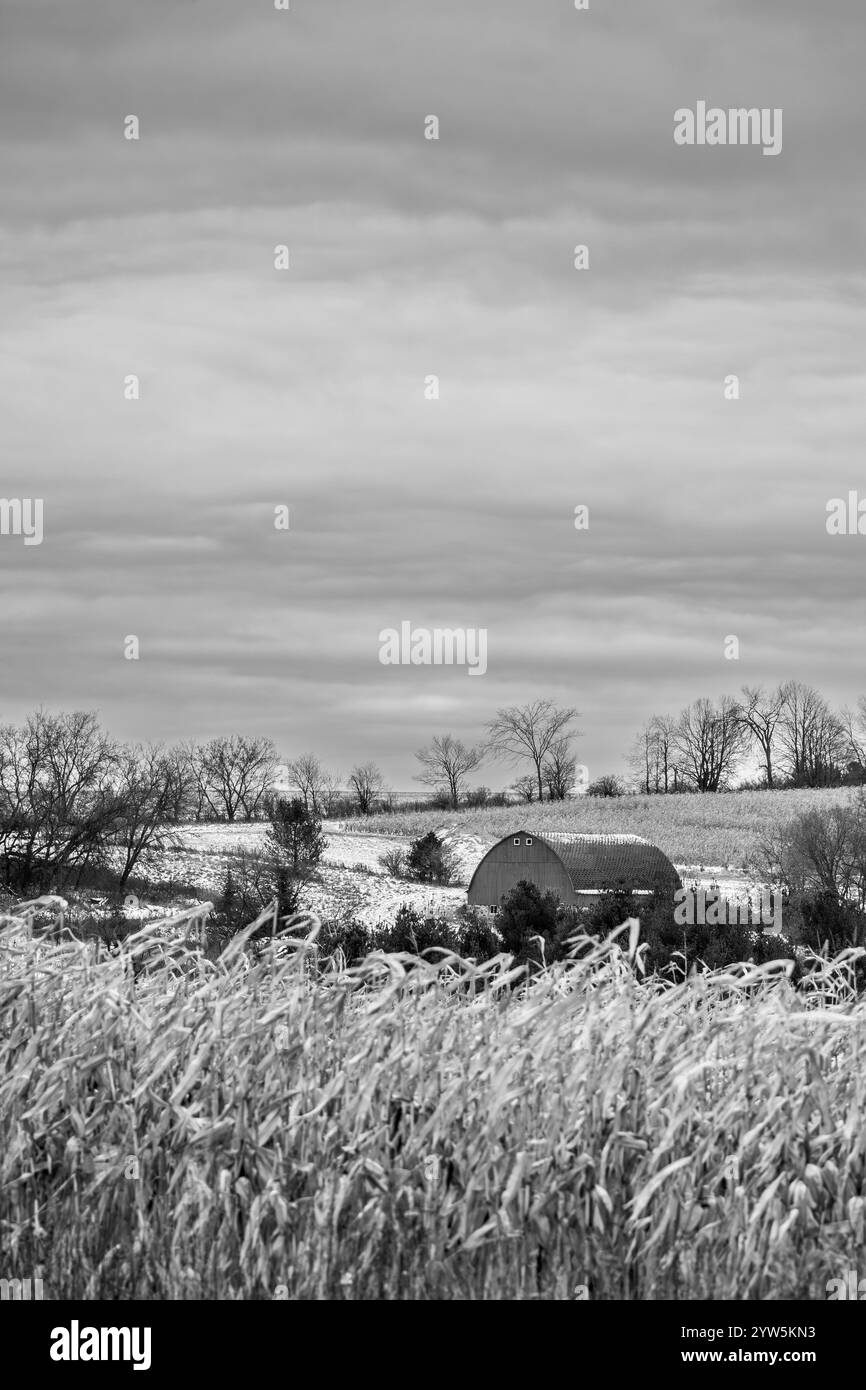 Wisconsin farm with snow in black and white, vertical Stock Photo - Alamy