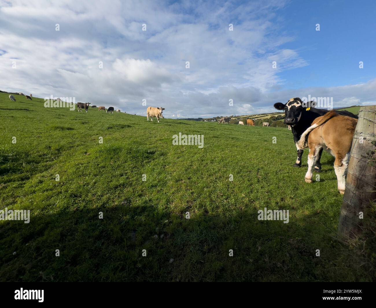 White barn close up cloudy sky hi-res stock photography and images - Alamy
