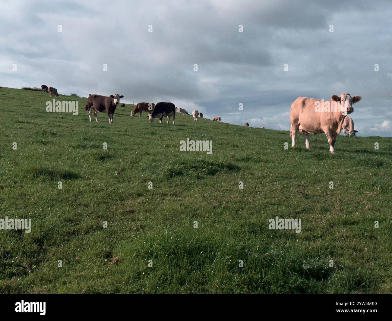 White barn close up cloudy sky hi-res stock photography and images - Alamy