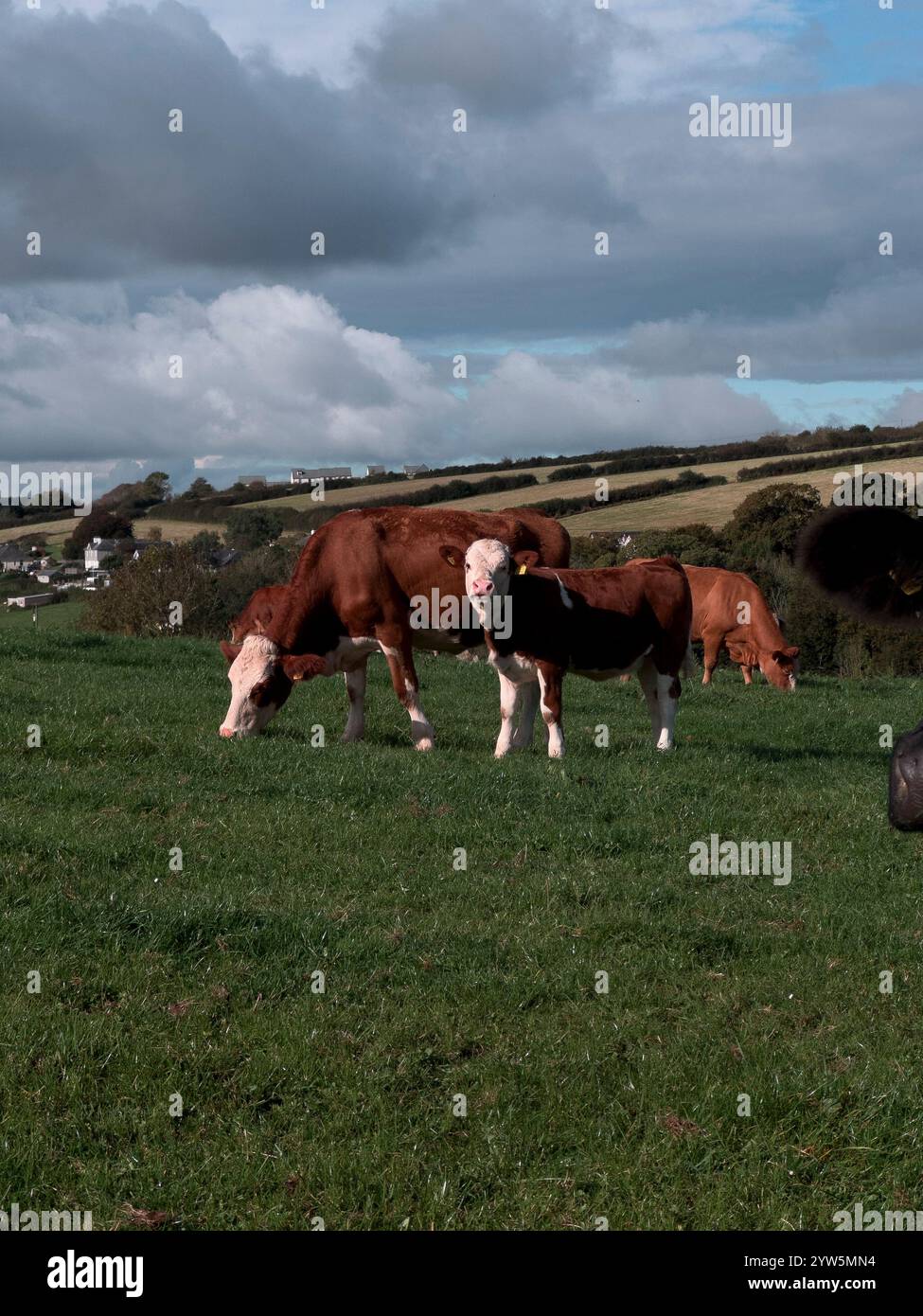 White barn close up cloudy sky hi-res stock photography and images - Alamy