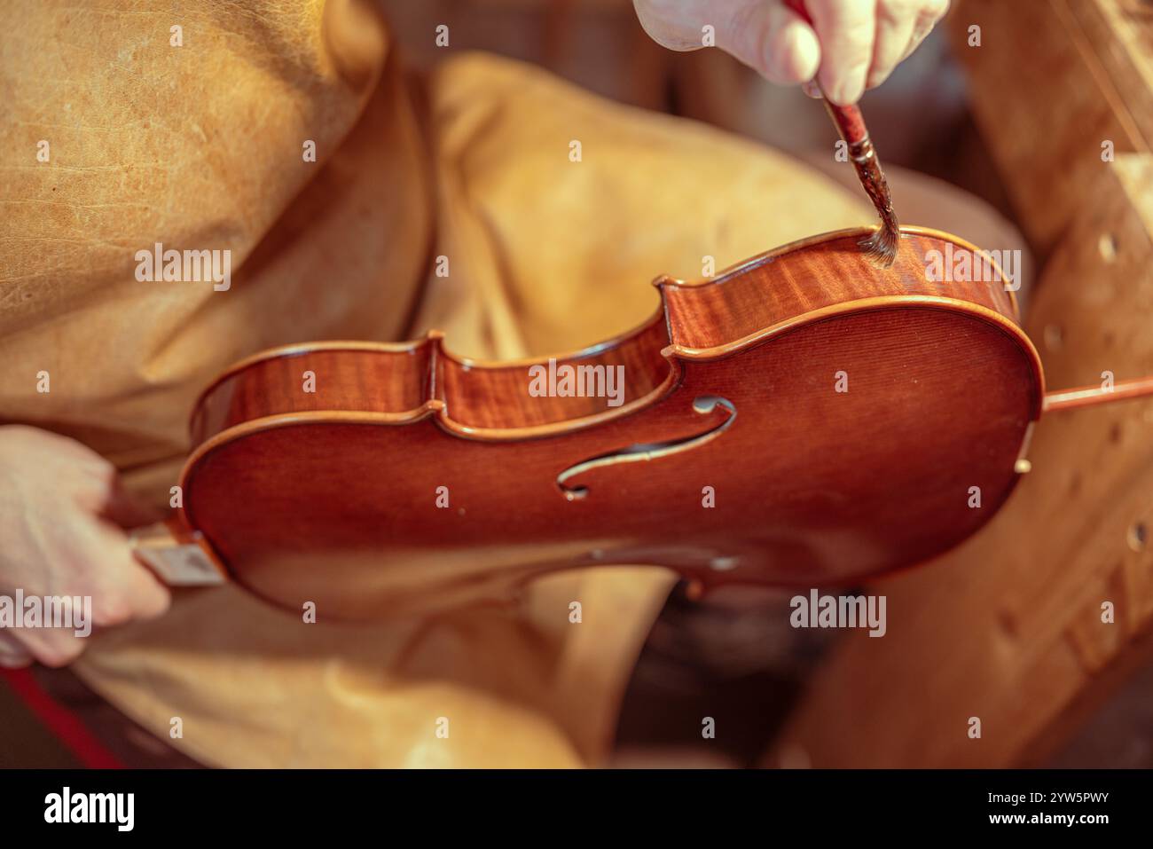 Italian luthier varnishing a precious handmade violin with a brush in ...